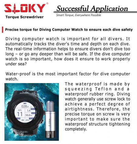 Sloky torque screwdriver for diving wathes